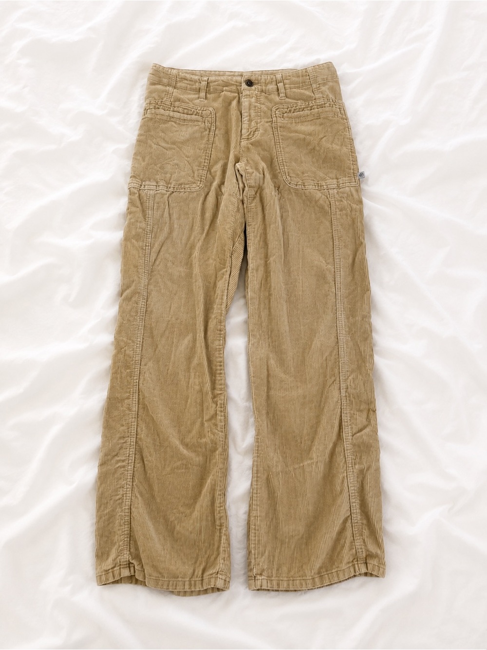 Patagonia Men's Corduroy Pants in Tan